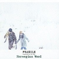 Fragile Inspired by Norwegian Wood 挪威的森林 (Japan Version)CD