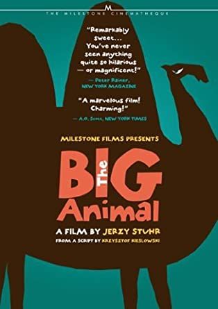 The Big Animal/ Duze Zwierze (2000) DVD