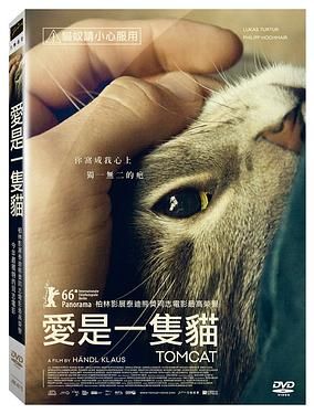 愛是一隻貓Tomcat 2016 DVD