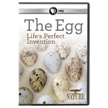 NATURE: The Egg: Life's Perfect Invention DVD