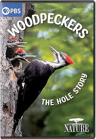 NATURE: Woodpeckers - The Hole Story DVD