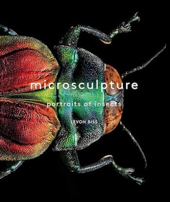 Microsculpture: Portraits of Insects (w)