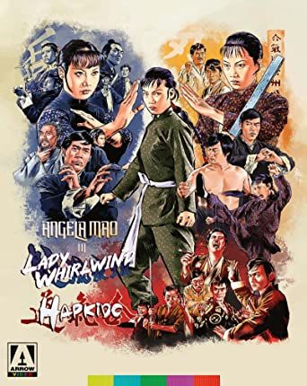 Lady Whirlwind & Hapkido 鐵掌旋風腿 , 合氣道(2-Disc Special Edition) BR