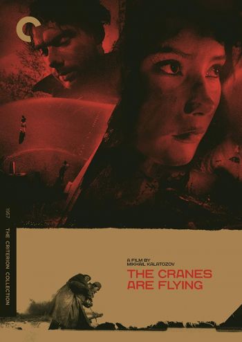 Criterion Collection: The Cranes are Flying DVD