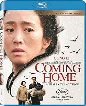 Coming Home (2014) BR