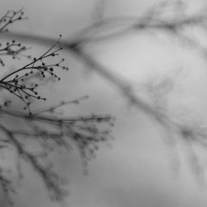 Dakota Suite/ Dag Rosenqvist/ Emanuele Errante - What Matters Most CD