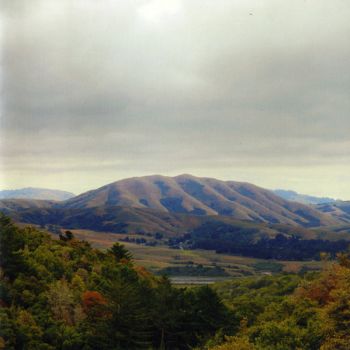 Dirty Projectors + Bjork/Mount Wittenberg Orca CD 