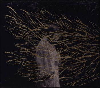 Forest Swords/Engravings  CD 