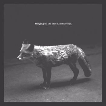 Hanging Up the Moon/ Immaterial CD