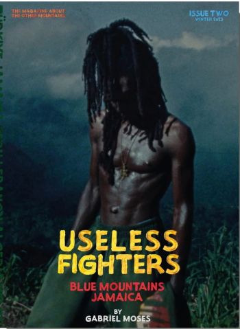Useless Fighters #issue2