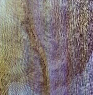 Akron/Family / Sub Verses CD