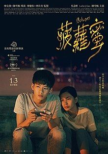 菠蘿蜜 Boluomi (2019) DVD