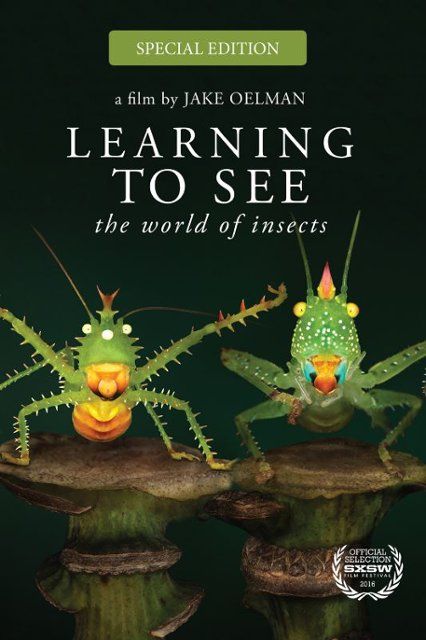 Learning to See: The World of Insects (Doc. 2016) Special Ed. BR