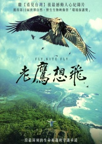 Fly Kite Fly 老鷹想飛 DVD (TW Version)