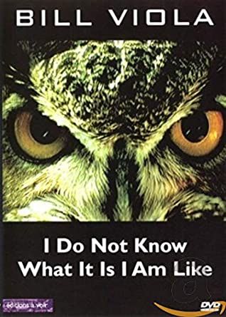Bill Viola - I Do Not Know What It Is I Am Like DVD