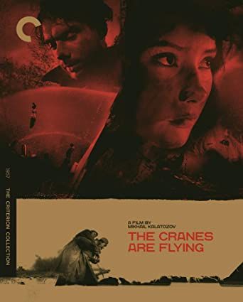 Criterion Collection: The Cranes are Flying (Letyat zhuravli (1957) BluRay