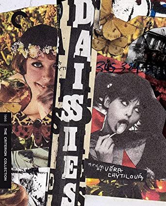 Criterion Collection: Daisies 1966 BR