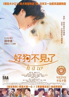 好狗不見了 Haw DVD