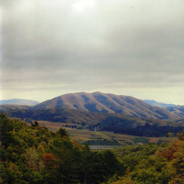 Dirty Projectors + Bjork/Mount Wittenberg Orca CD 