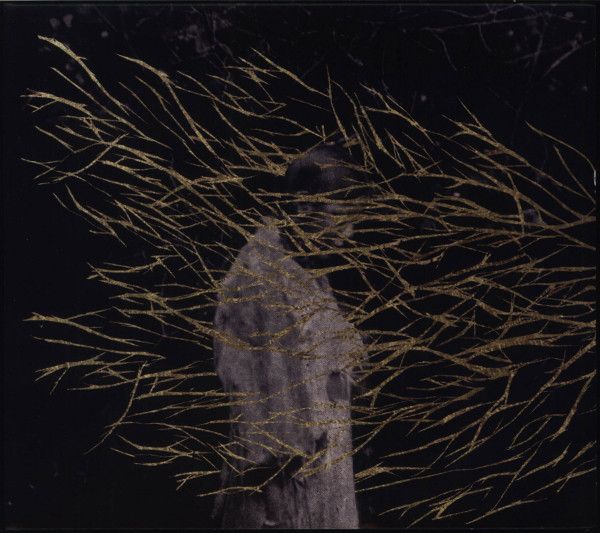 Forest Swords/Engravings CD