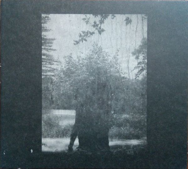 Grouper/ Ruins CD