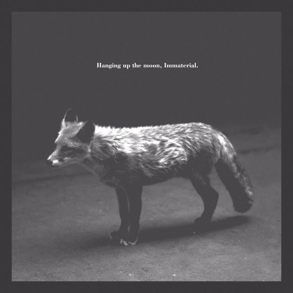 Hanging Up the Moon/ Immaterial CD