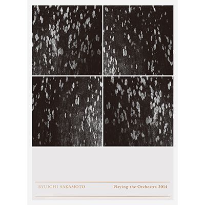 Ryuichi Sakamoto | Playing the Orchestra 2014（DVD）  