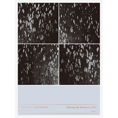 Ryuichi Sakamoto | Playing the Orchestra 2014（Blu-ray）  
